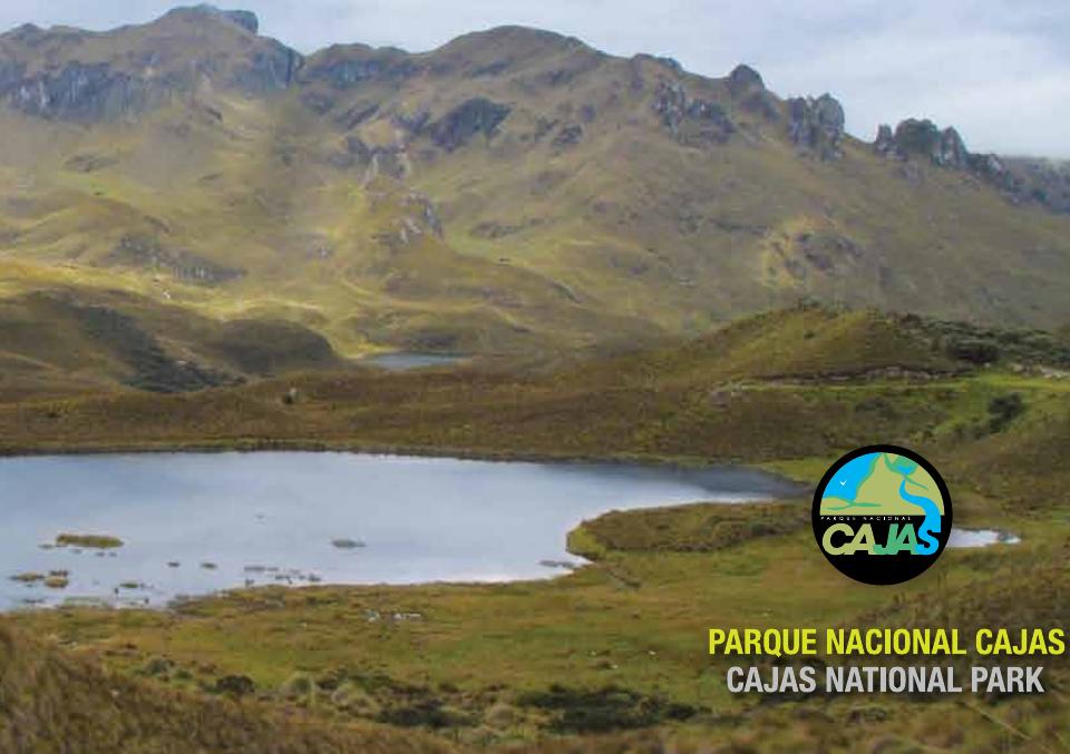 Preview: Plantas del Parque Nacional Cajas: guía de 100 plantas silvestres del páramo