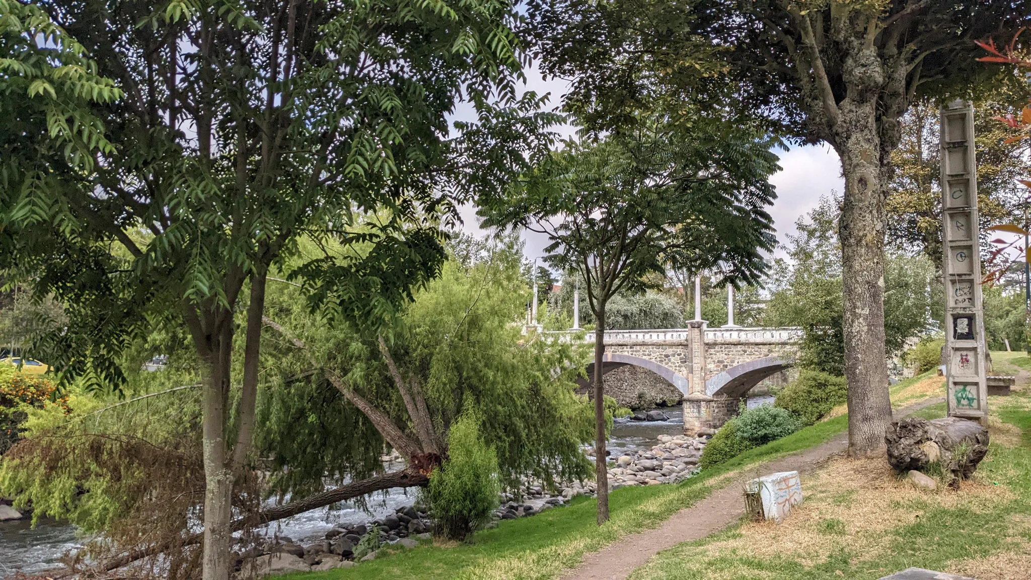 Green park stream and walkway under tall trees.