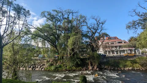 Large trees and a river edge frame a sunny urban park scene.
