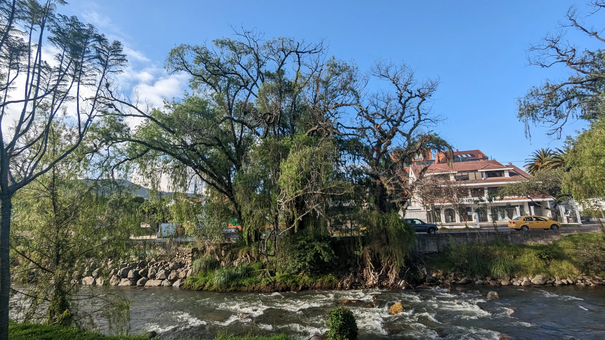Large trees and a river edge frame a sunny urban park scene.