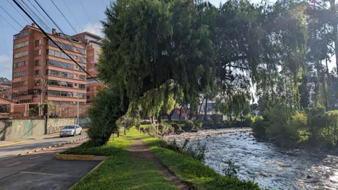 A red brick building stands near a riverfront lined with trees.
