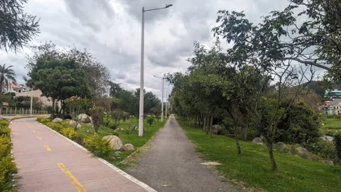 Paved park path splitting under trees on an urban running route.