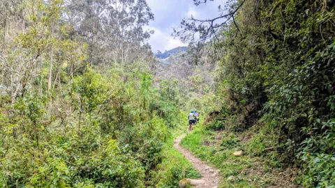 A narrow trail runs through dense green vegetation and shrubs.