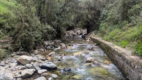 Rocky stream flowing beside the road through a green valley.