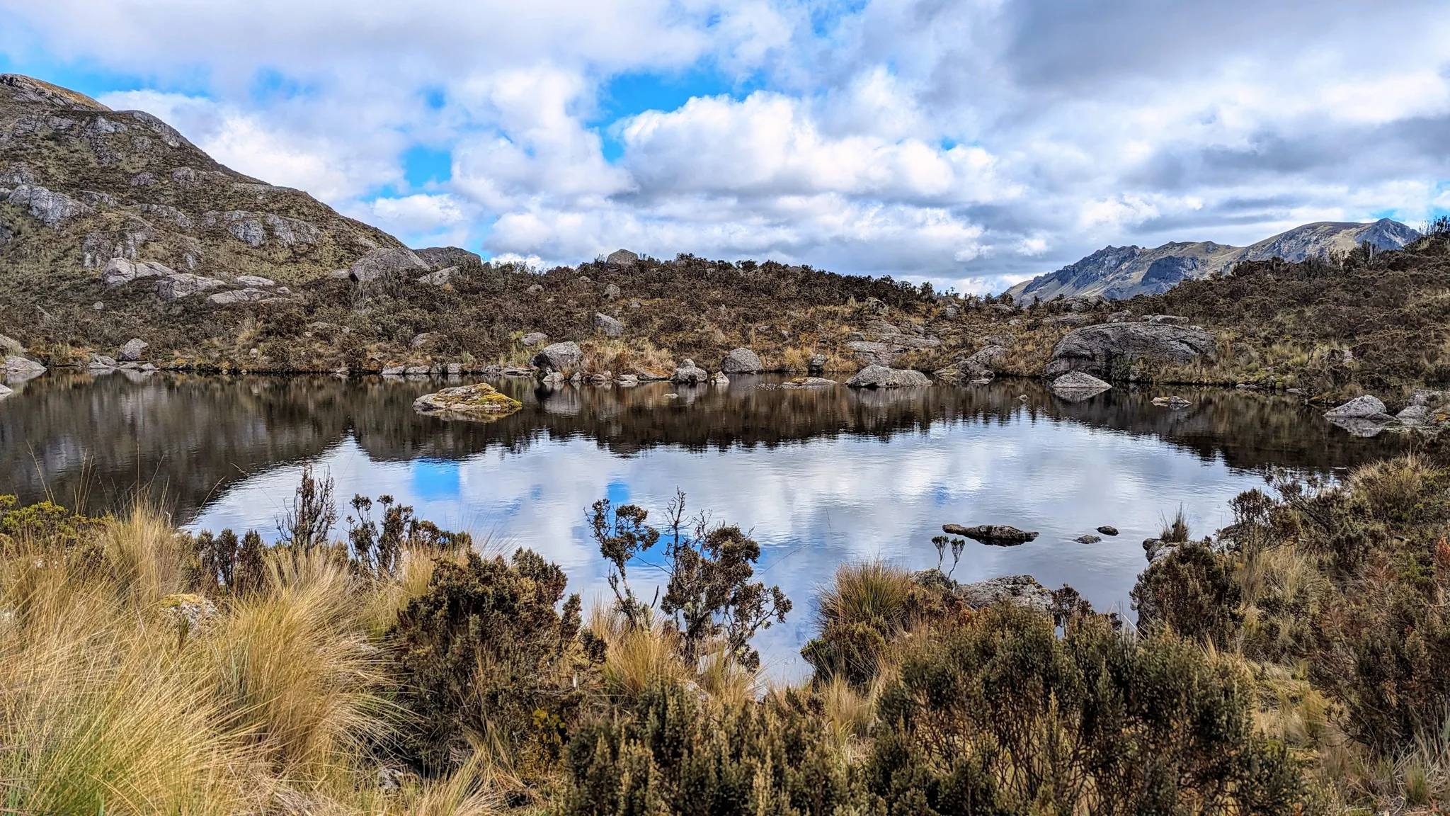 Lagoon edged by shrubs.