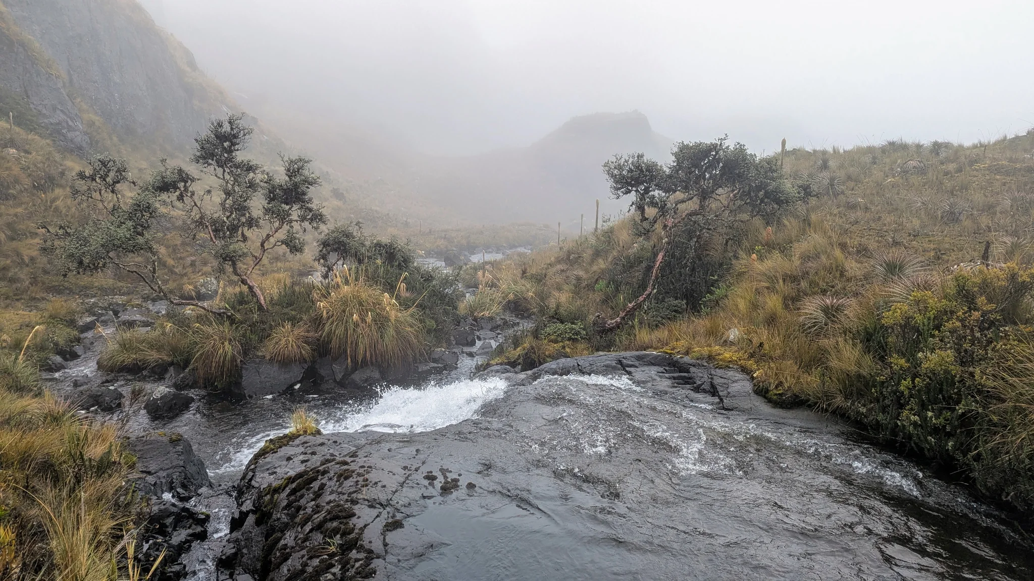 A narrow stream slides over a dark rock ledge between shrubs in the misty Osohuayco highlands.