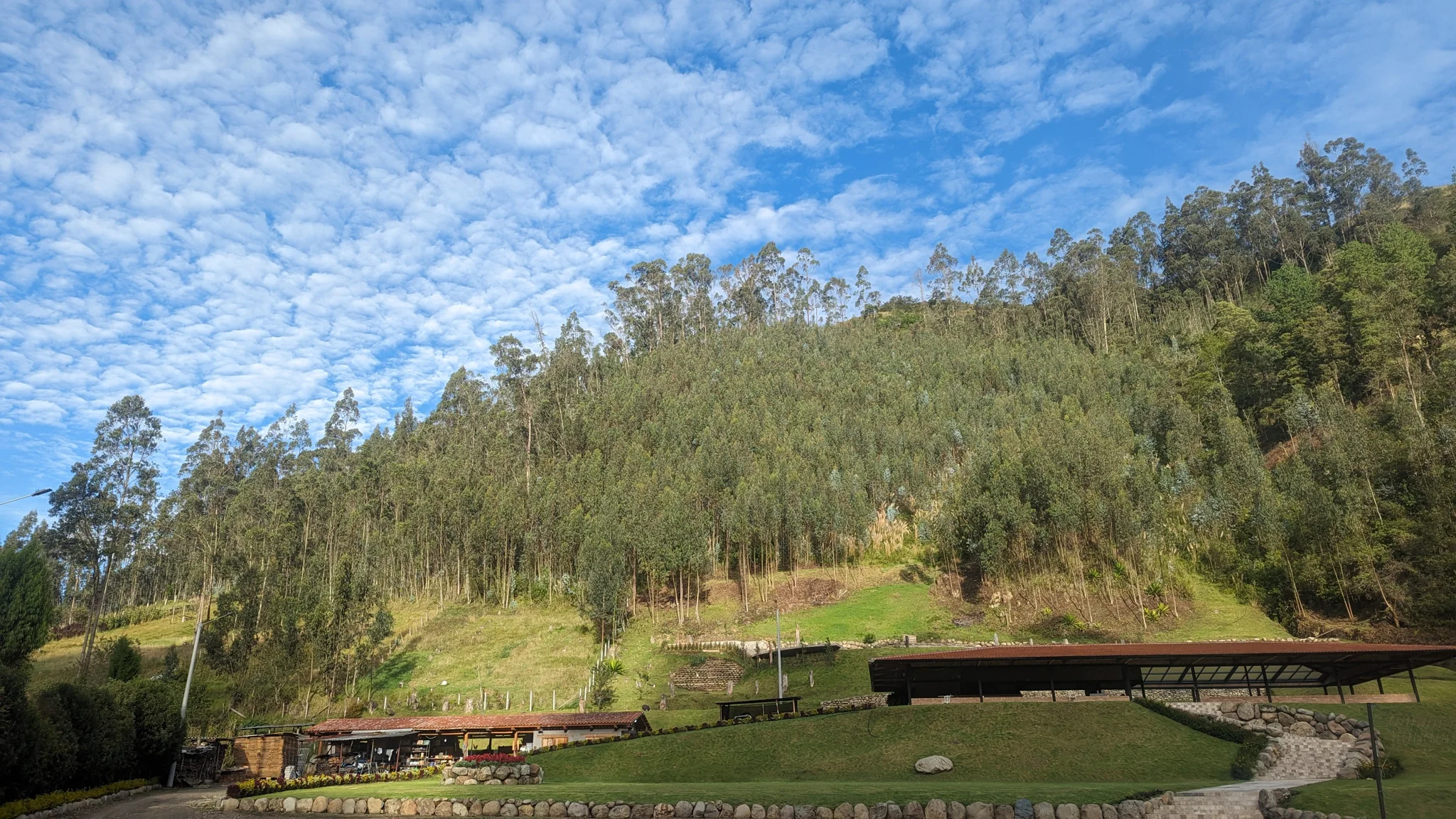 Park lake with bridge and trees. The water body is not securely named.