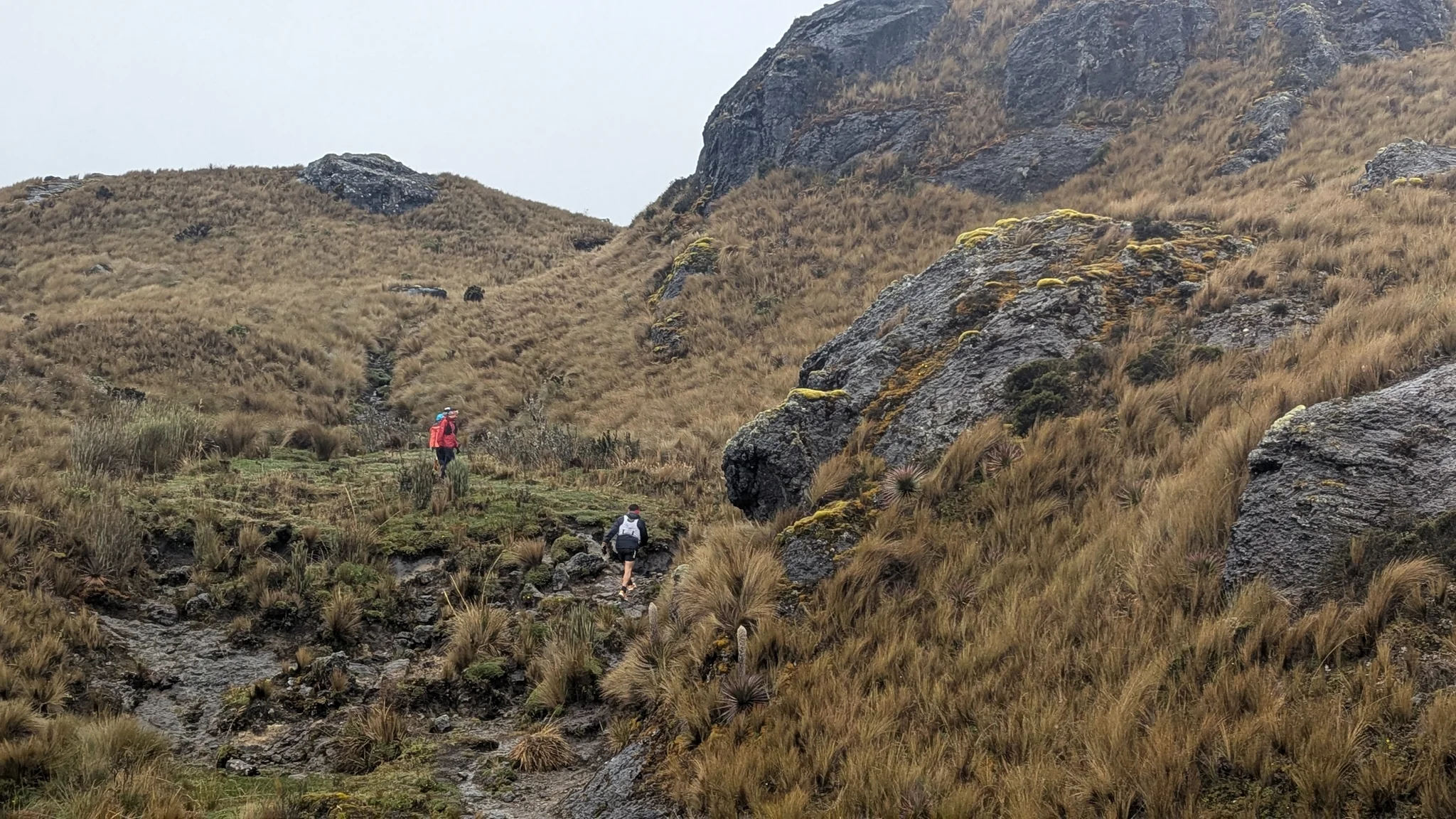 Small figures follow a path through tussock grass and rocks below a steep, dark cliff.