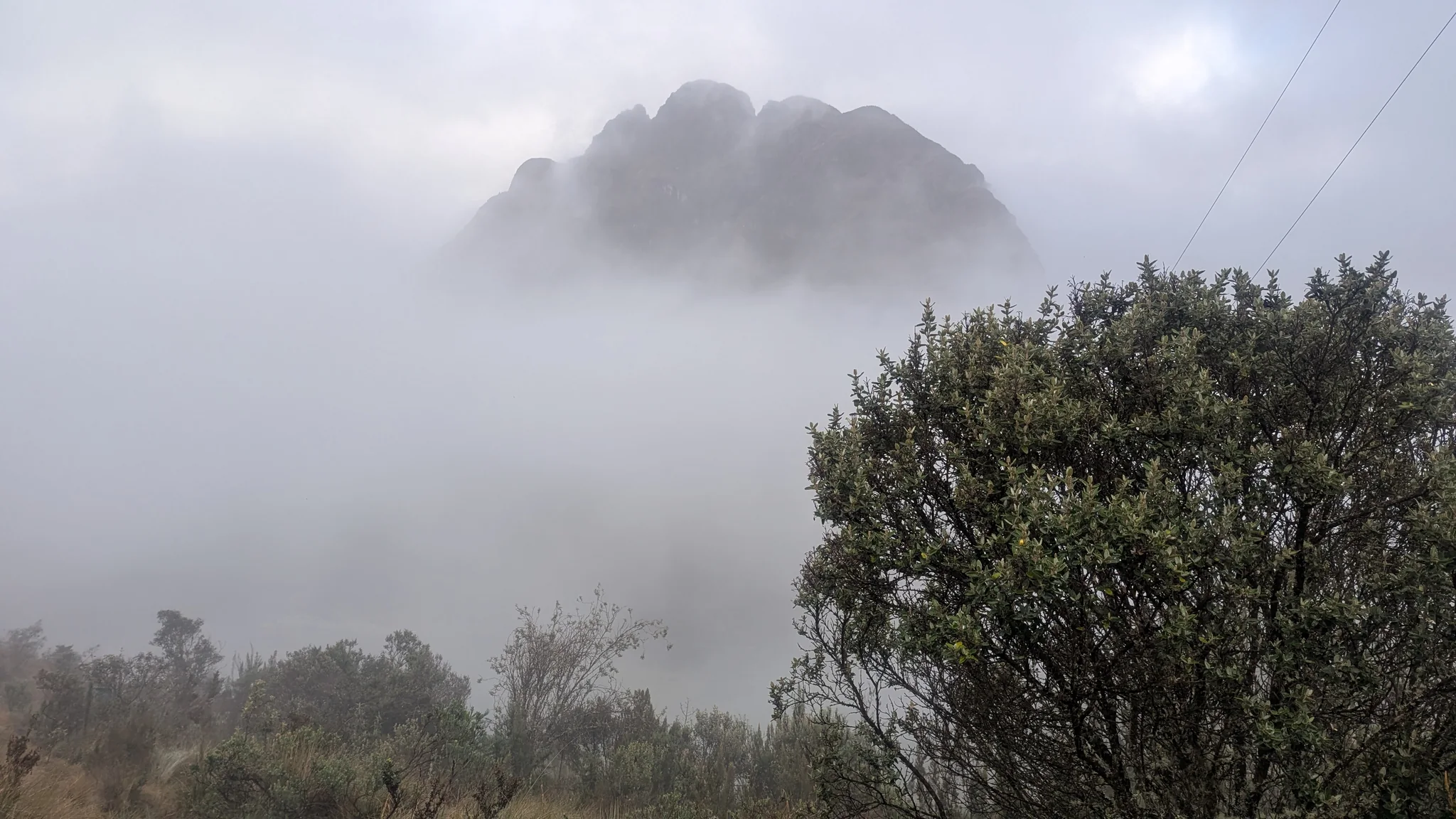 A jagged rock crown emerges from morning fog above shrubs in the Dos Chorreras area. The summit name is unconfirmed.