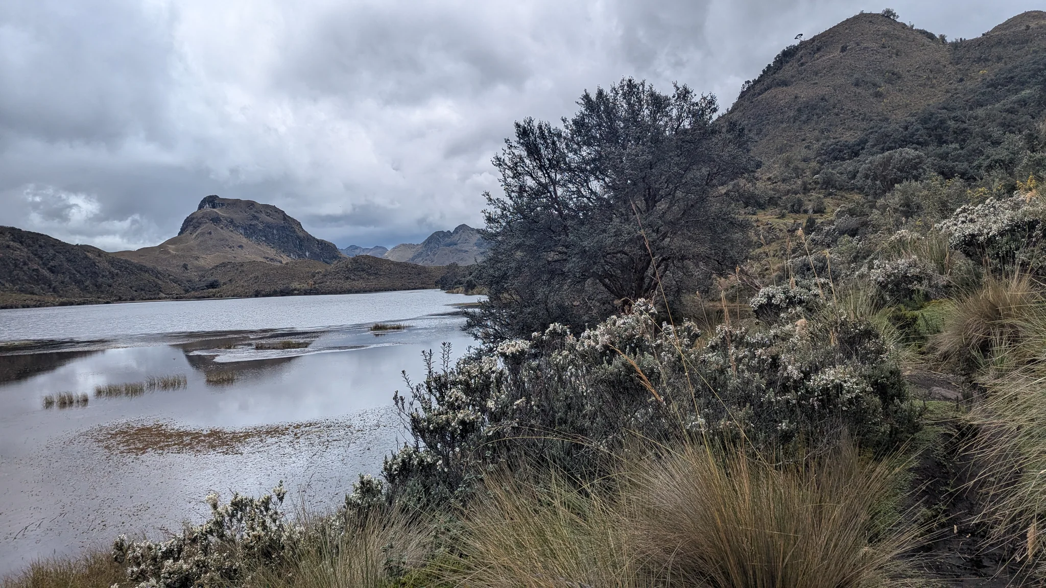 Laguna Patoquinuas spreads beyond dense shore shrubs and shallow exposed margins. An IGM source records the variant name Paroquinuas.