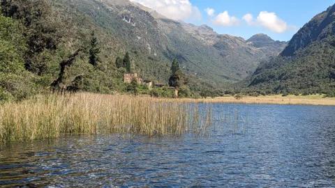 Reeds and a forested lake valley