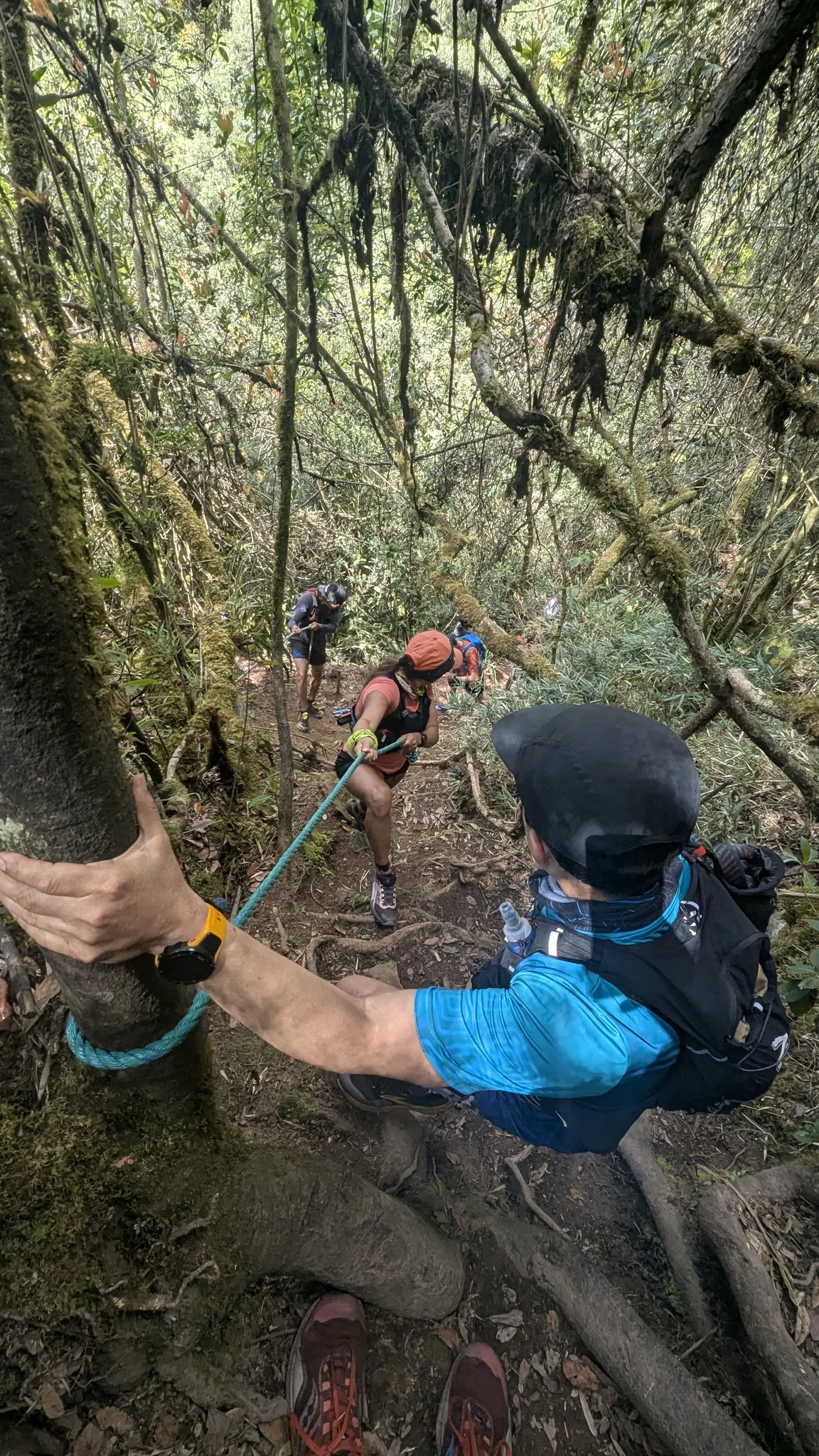 A rope-assisted forest passage