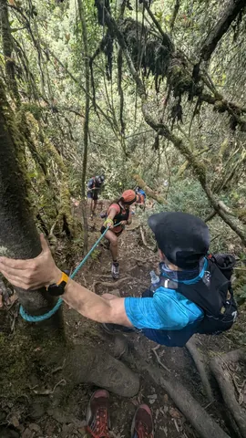 A rope-assisted forest passage