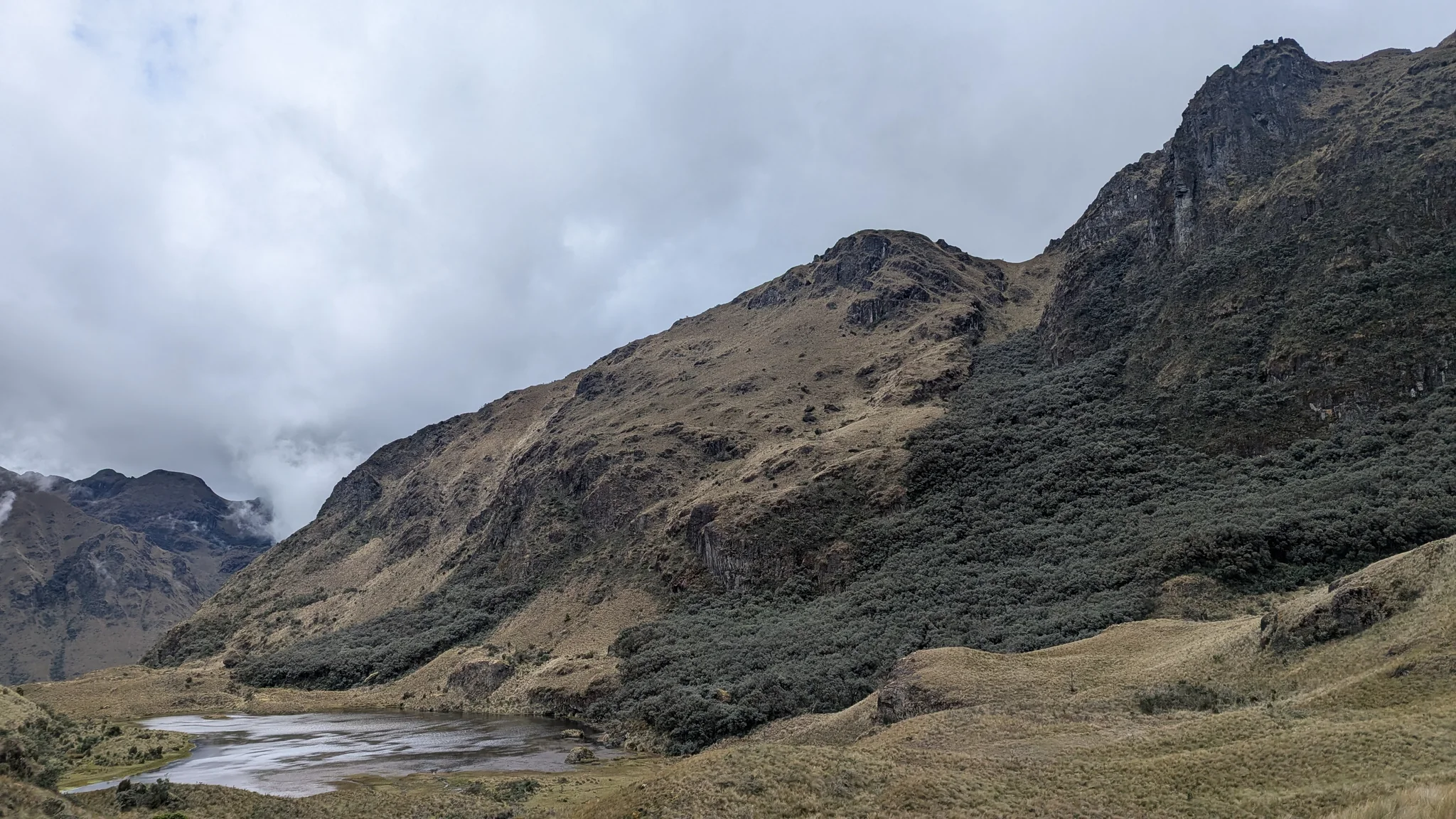 Laguna Barrancos lies between exposed shallow margins, wooded slopes and dark rock ridges.