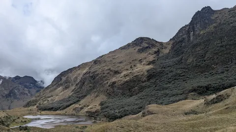 Laguna Barrancos lies between exposed shallow margins, wooded slopes and dark rock ridges.