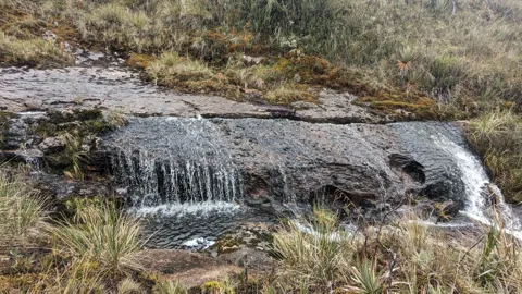 A small curtain of water over stone