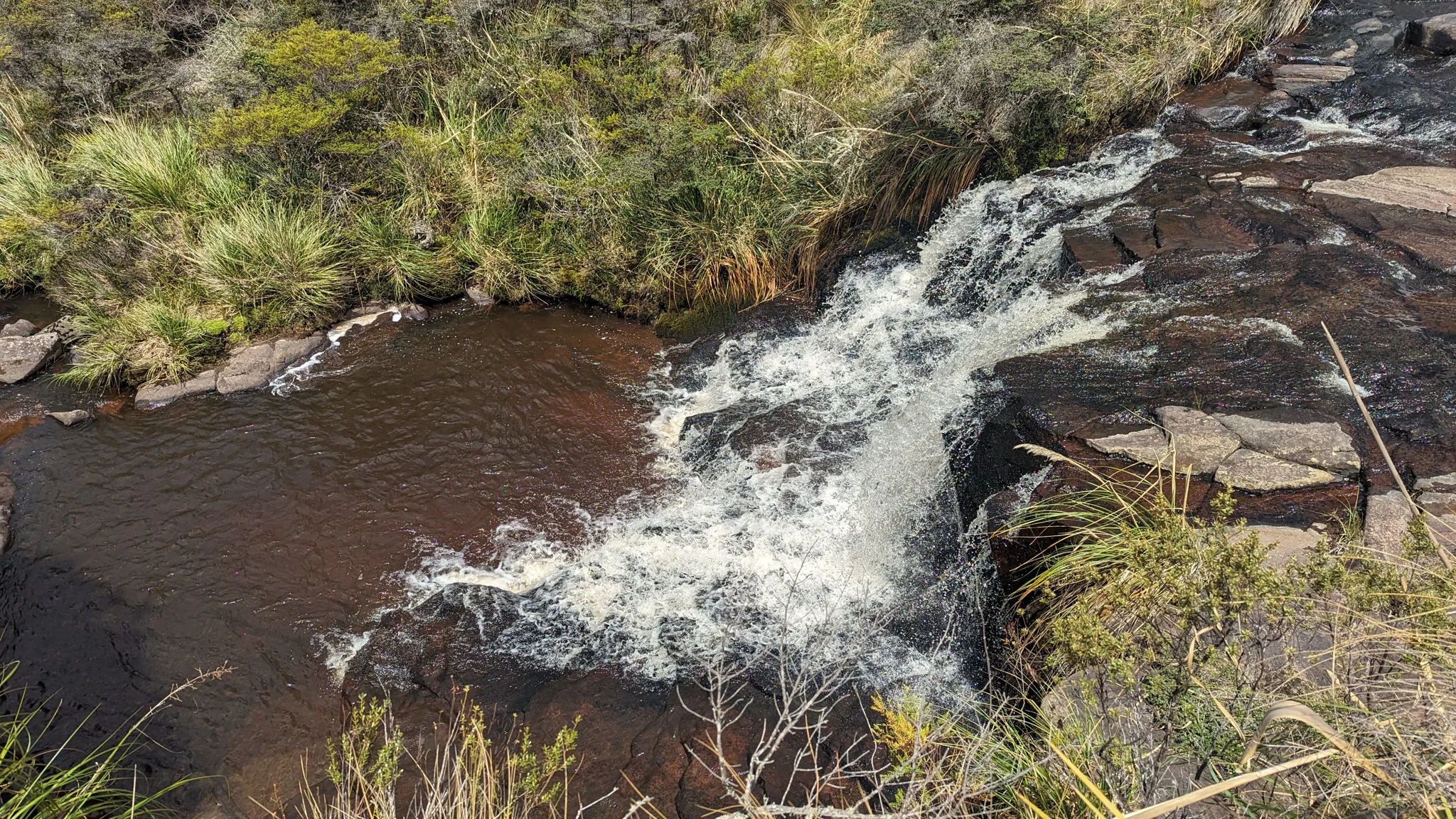 A stream descending through rock