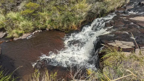 A stream descending through rock