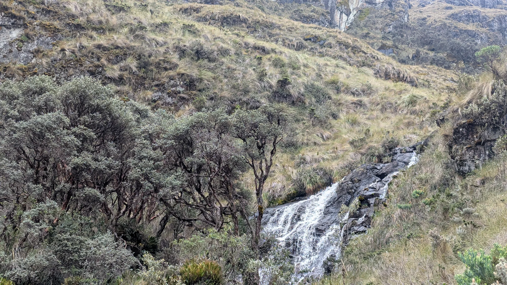 White water below a rocky hillside