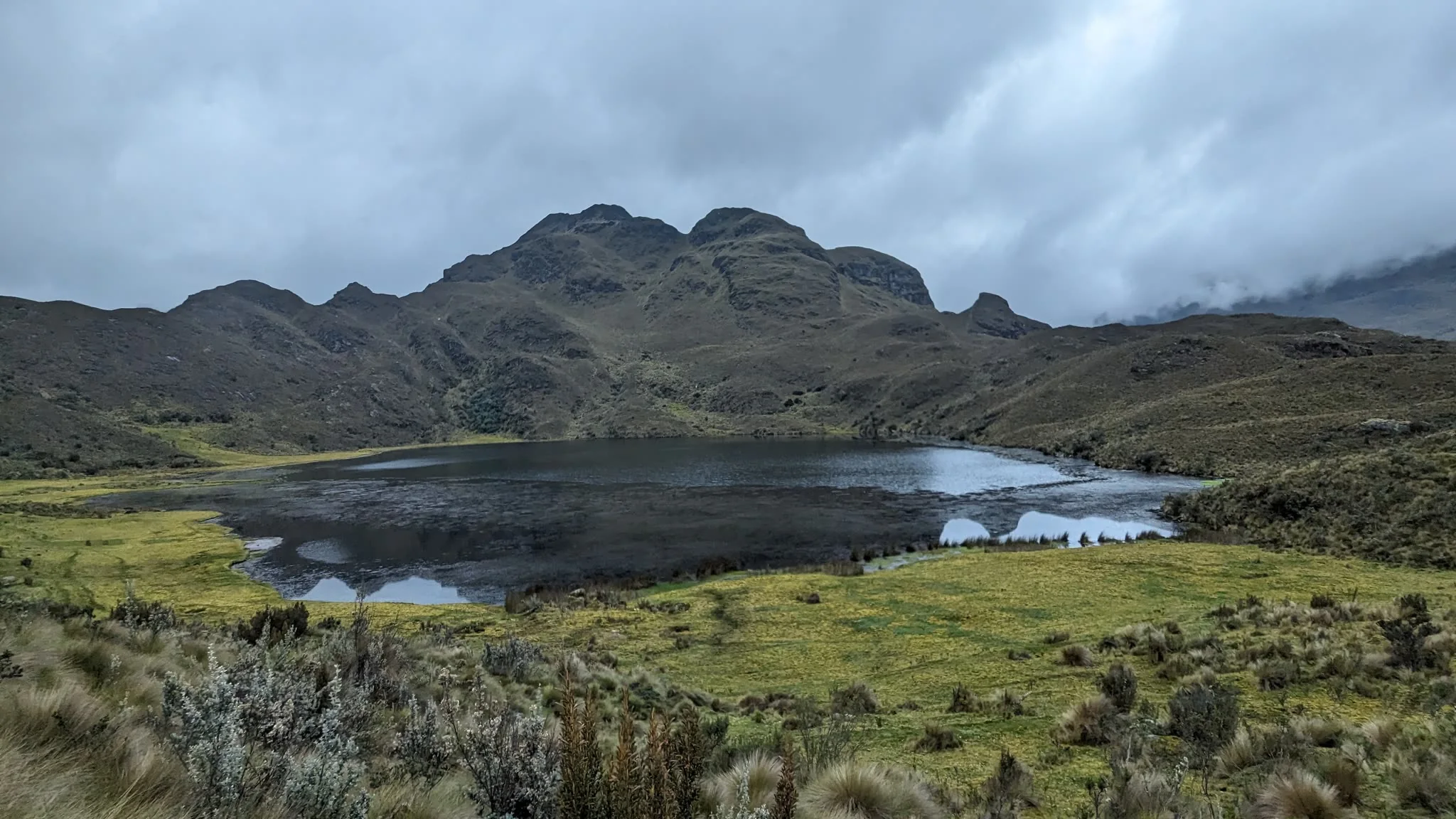 Togllacocha among green wetlands.