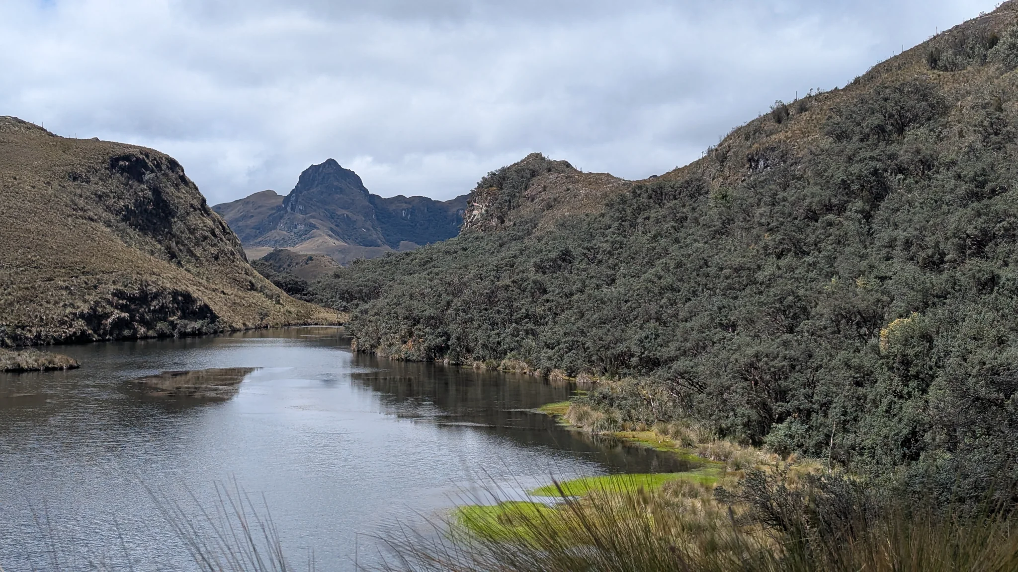 Lagunas Unidas reflects a strip of sky between a grassy shore and dense shrubs.