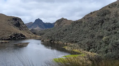 Lagunas Unidas reflects a strip of sky between a grassy shore and dense shrubs.