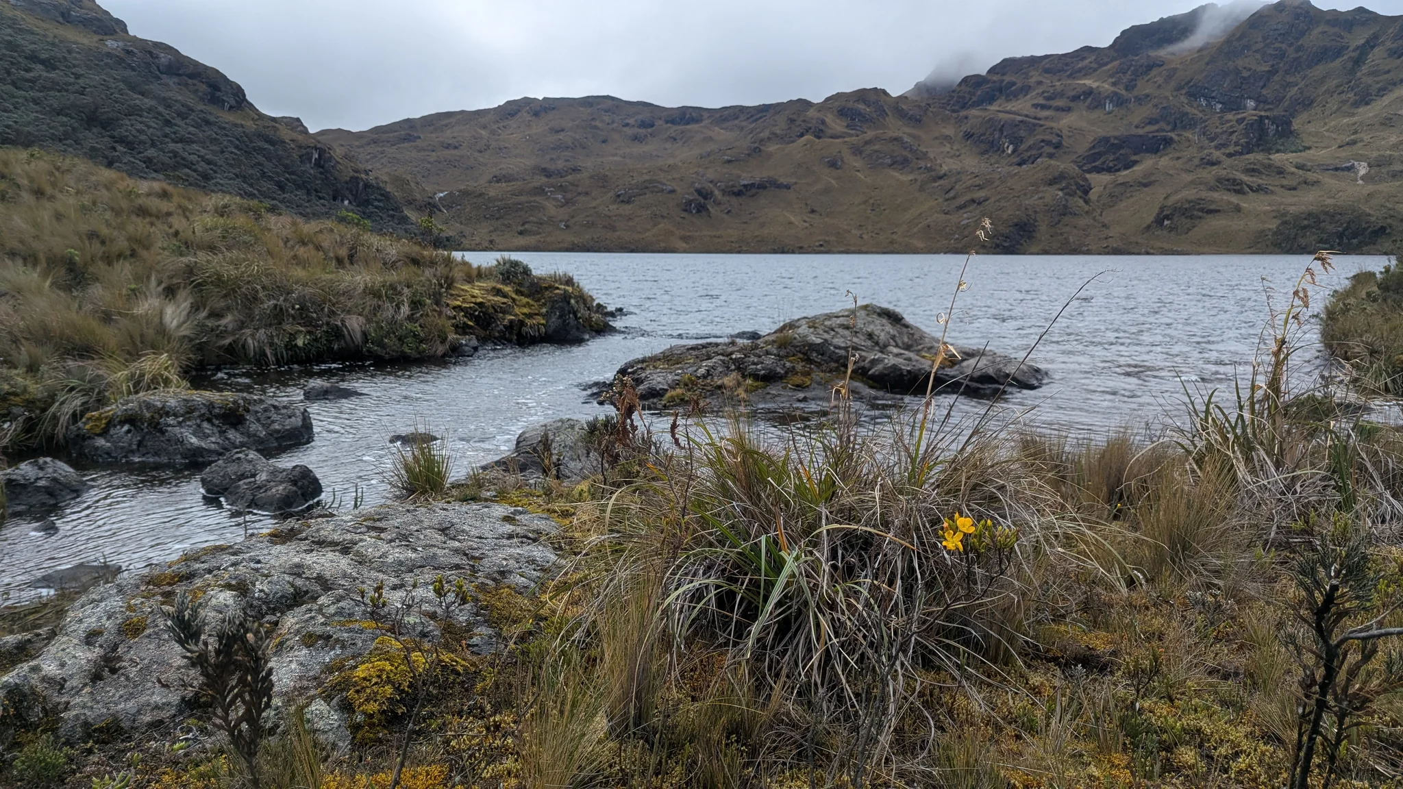 Water flowing through the highlands