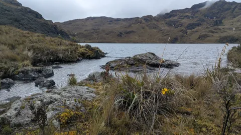 Water flowing through the highlands