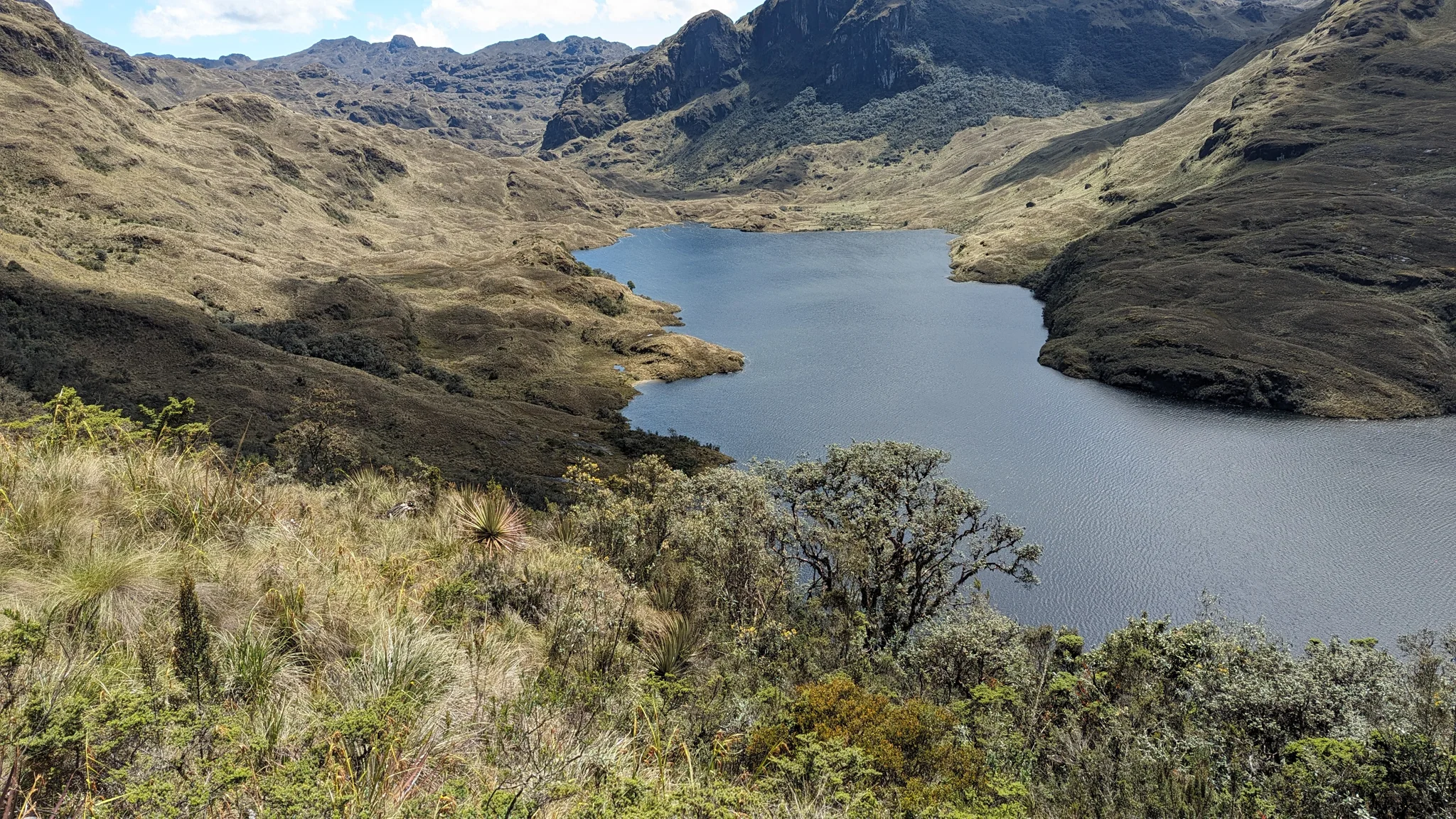 Mountain lake with green shoreline.