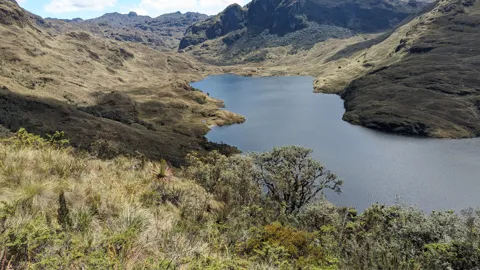 Mountain lake with green shoreline.