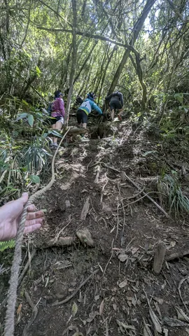 A rope beside exposed roots