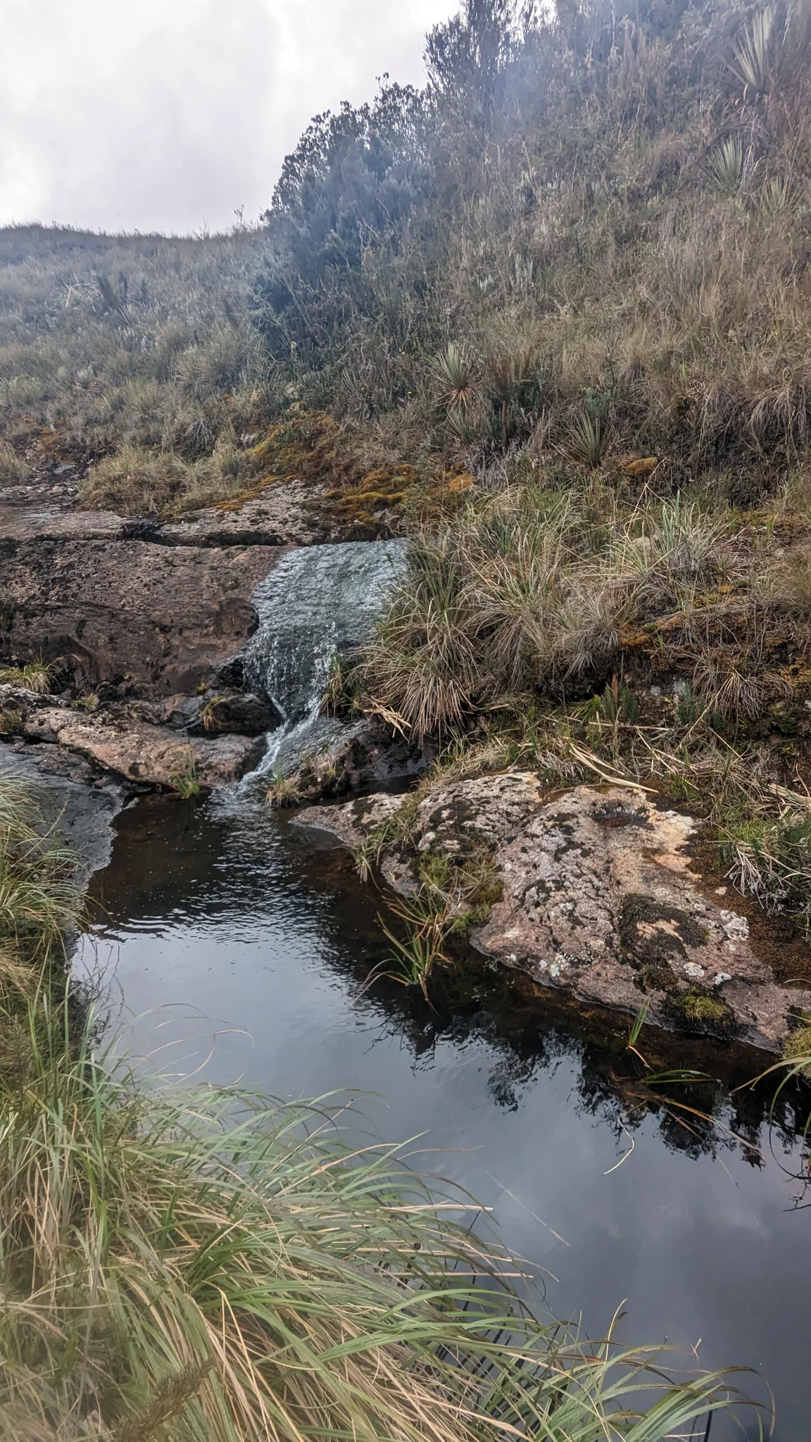 Narrow lake through a rocky valley. The water body is not securely named.