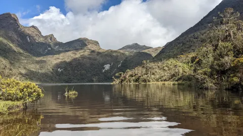 Calm lake below steep mountains. The water body is not securely named.