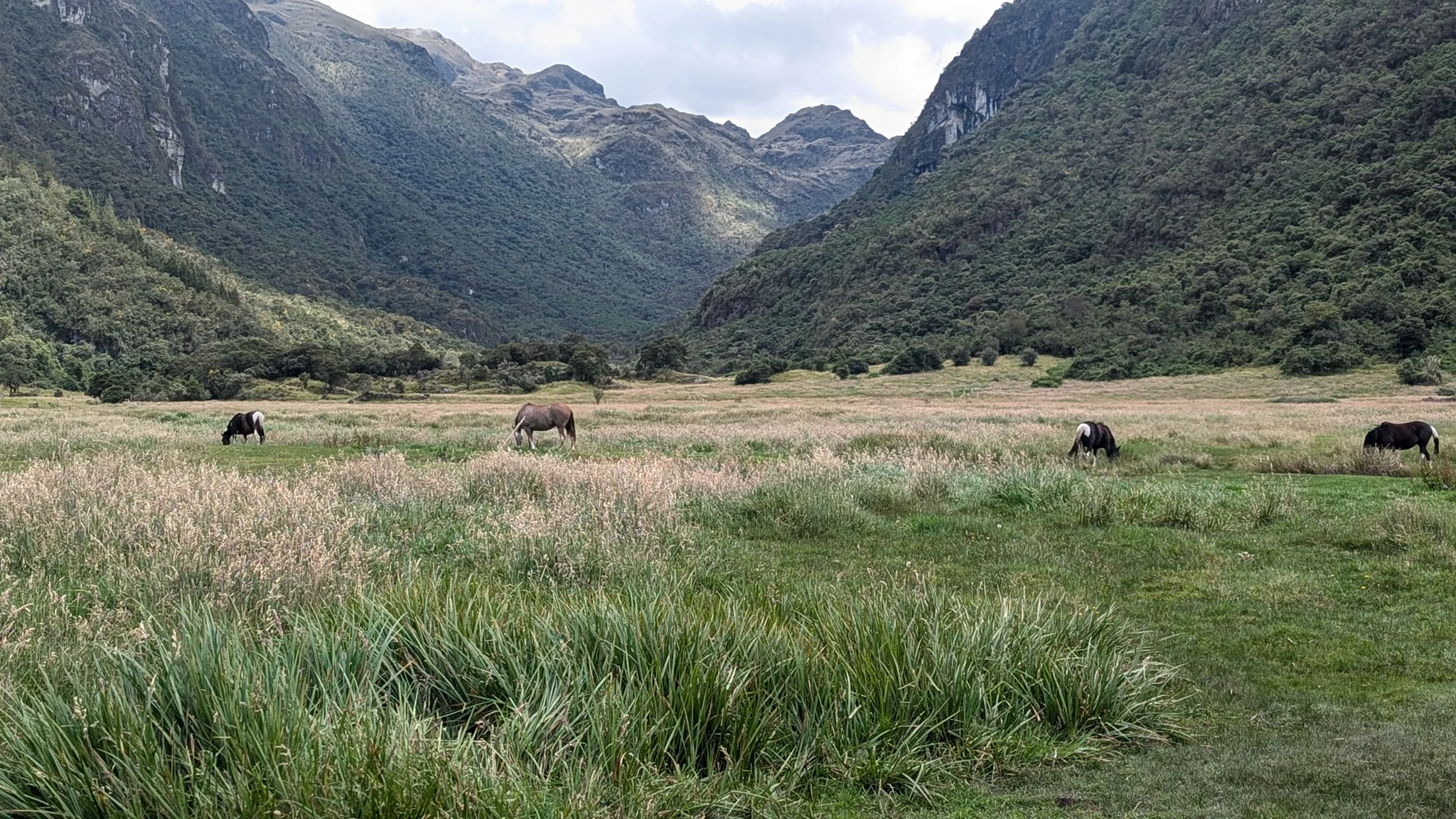 An open valley between green slopes
