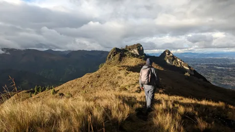 A walker on a sunlit grassy ridge