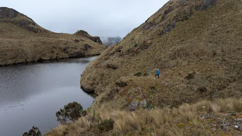 Narrow lake in the upper Dos Chorreras basin. The water body is not securely named.