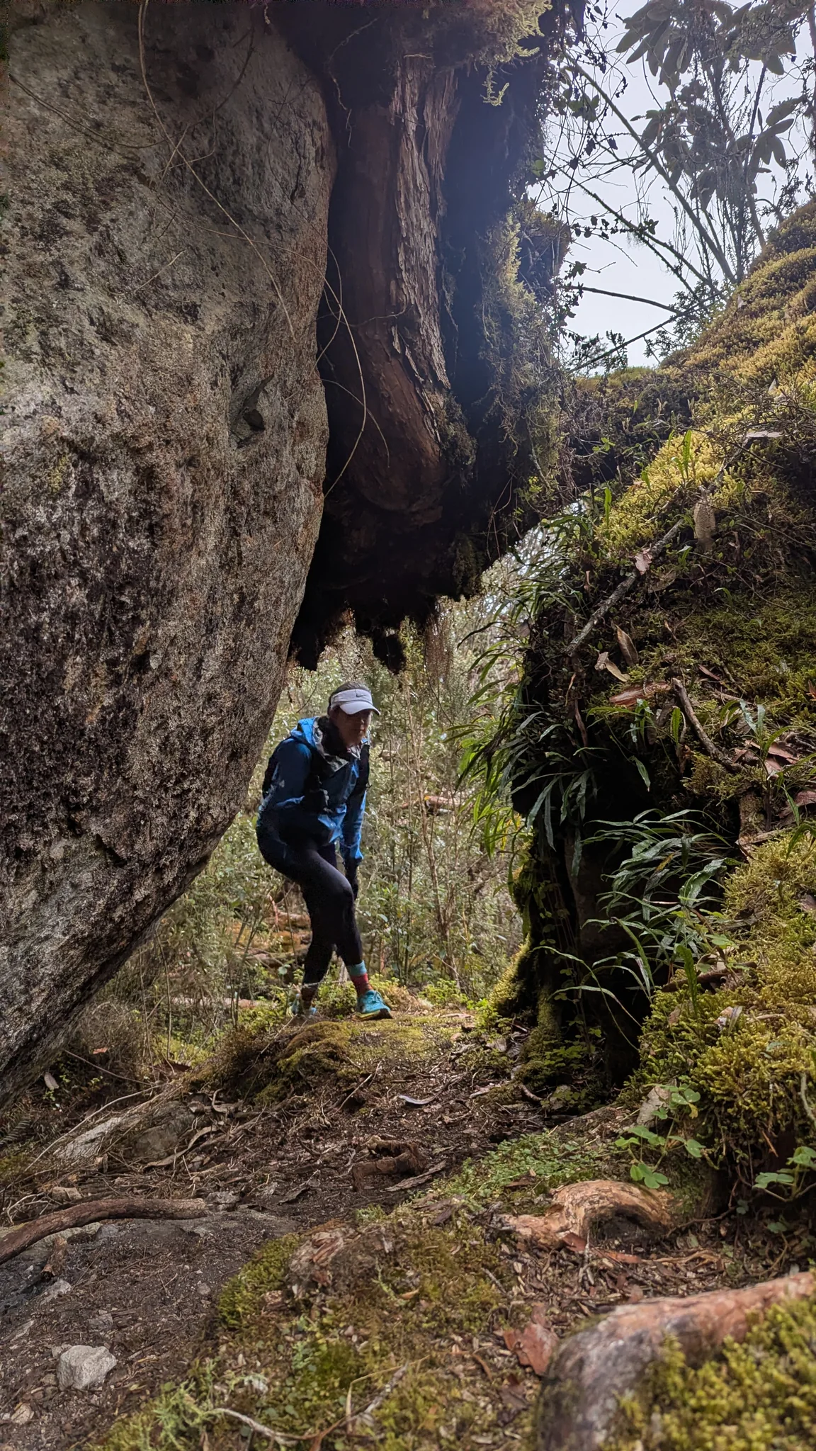 A walker passes between tall boulders above a narrow, moss-lined path.