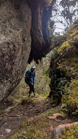 A walker passes between tall boulders above a narrow, moss-lined path.