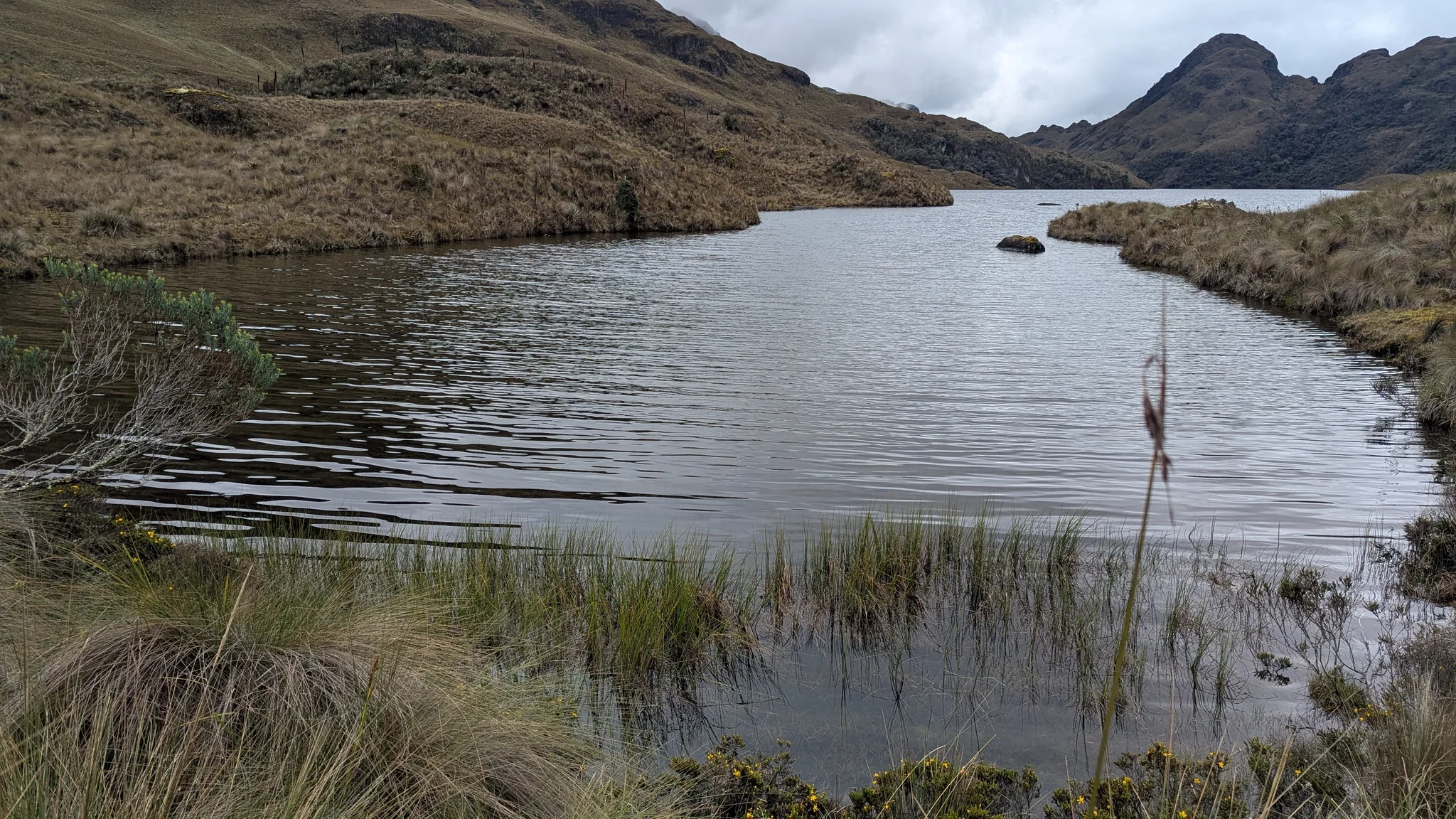 A reedy inlet opens onto Laguna Taitachugo, also recorded as Mamamag, below rounded páramo ridges.