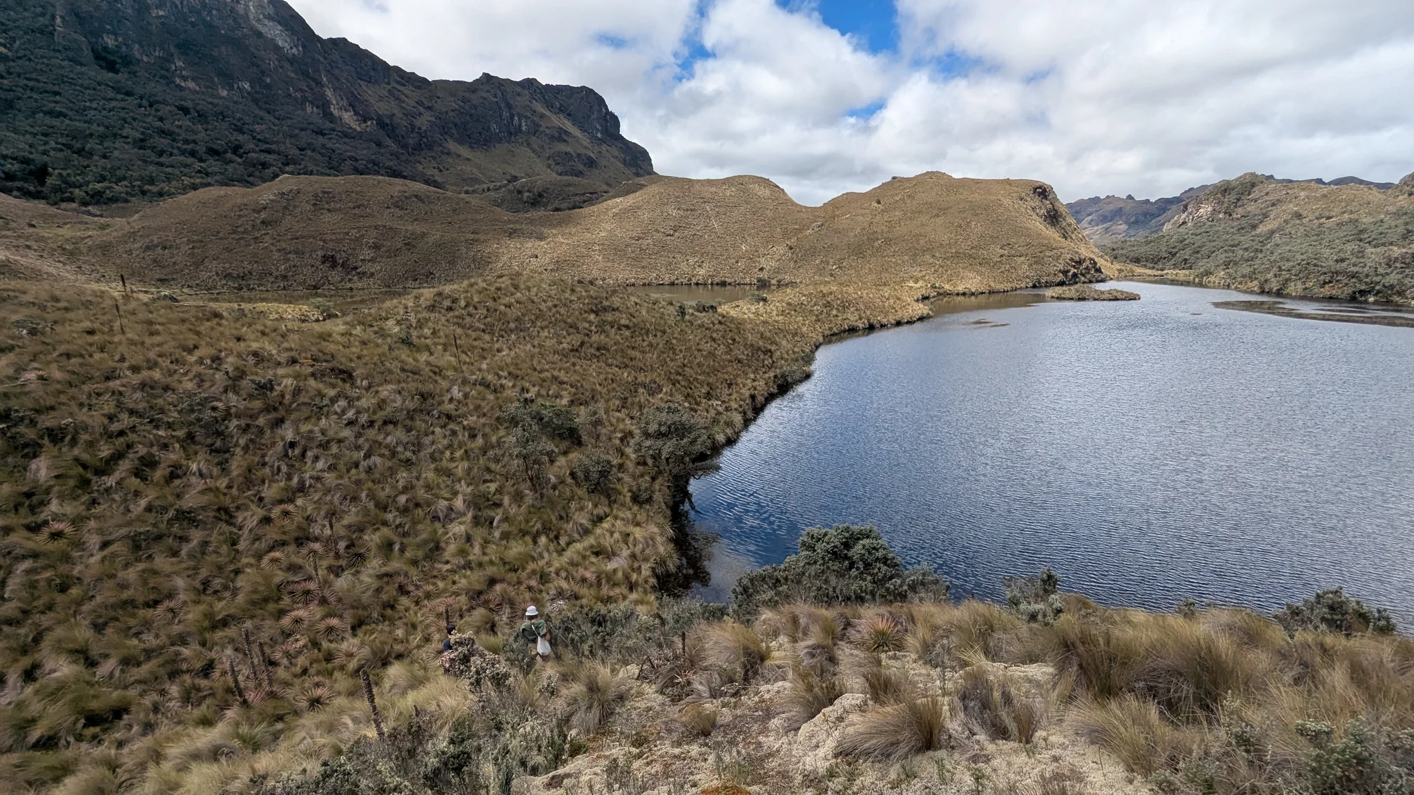Curving shore of Lagunas Unidas.