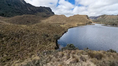 Curving shore of Lagunas Unidas.