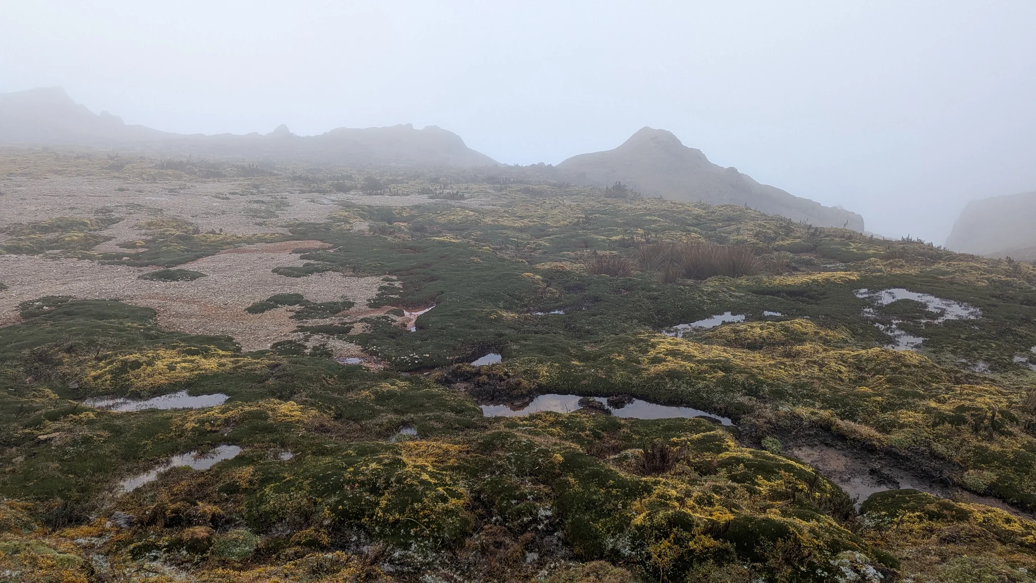 Small pools across a misty plateau