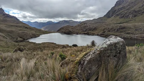 Mountain lake and boulders.