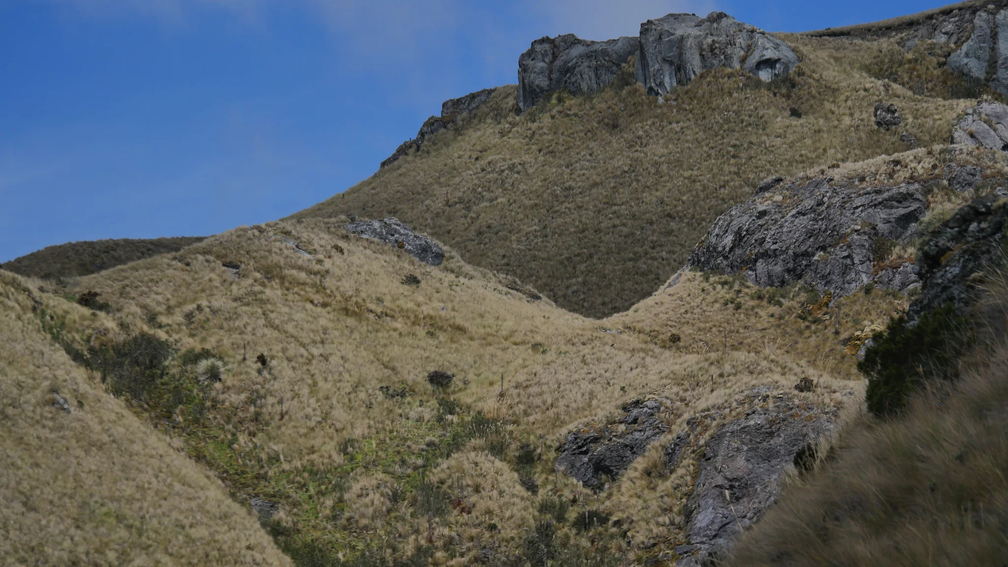 A steep wall above golden grass