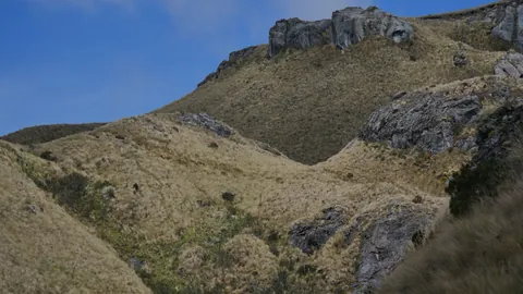 A steep wall above golden grass