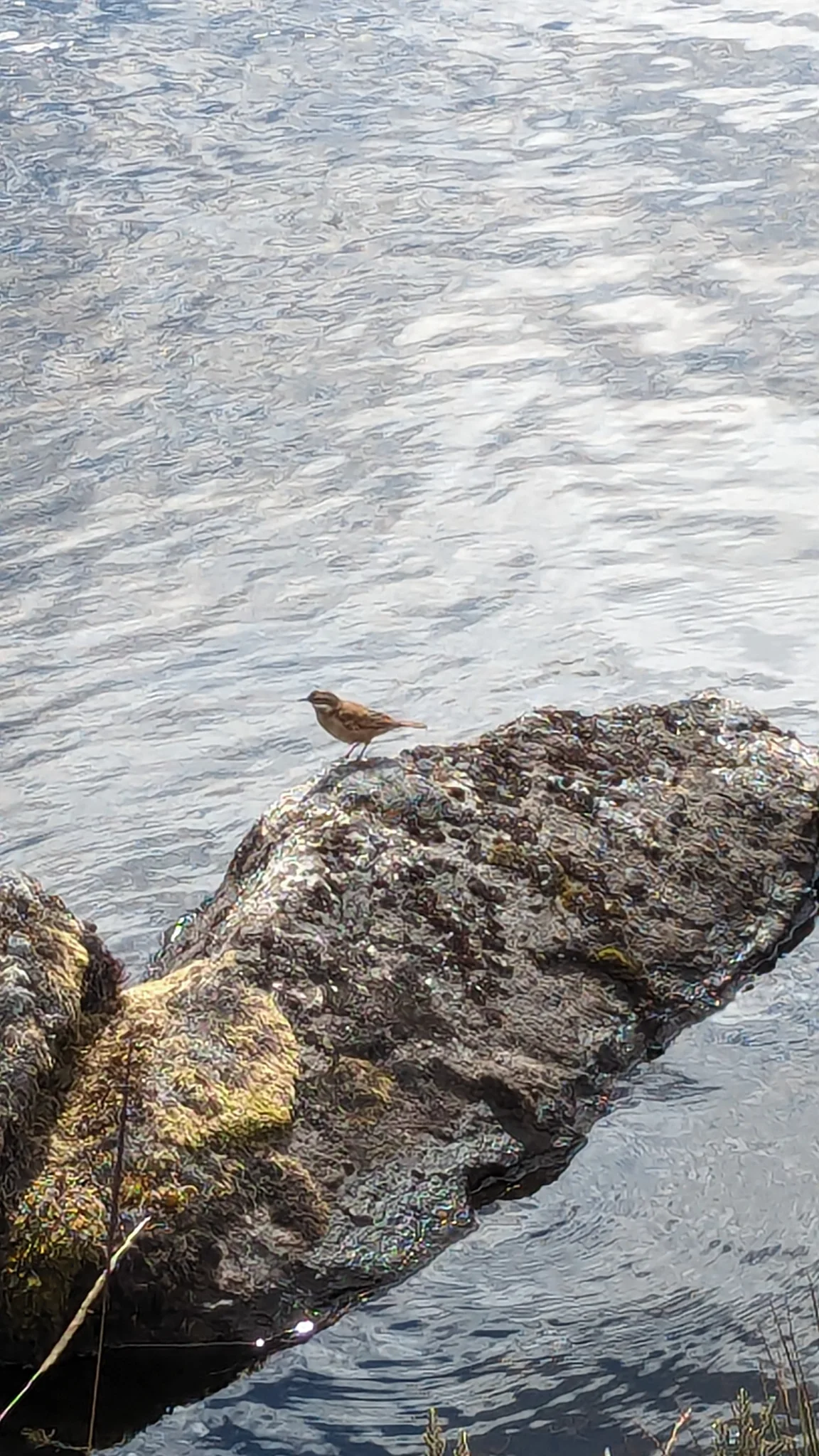 Rock beside lake water.
