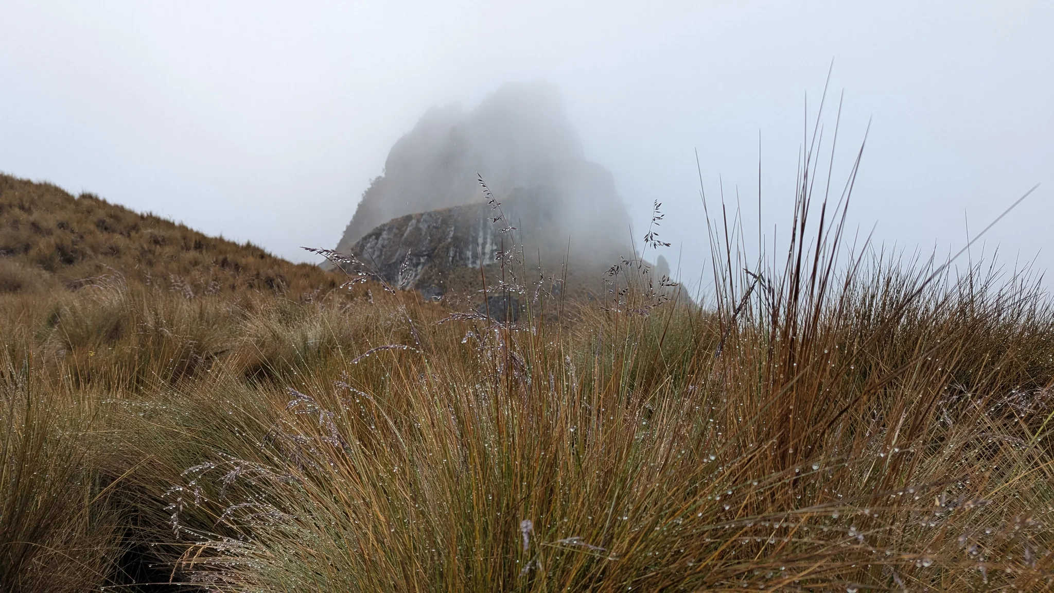A steep, isolated rock tower rises above golden páramo grass and disappears into low cloud.