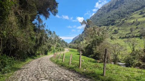 A gravel path through a green valley