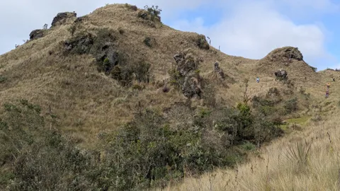 A sunlit hill with scattered shrubs