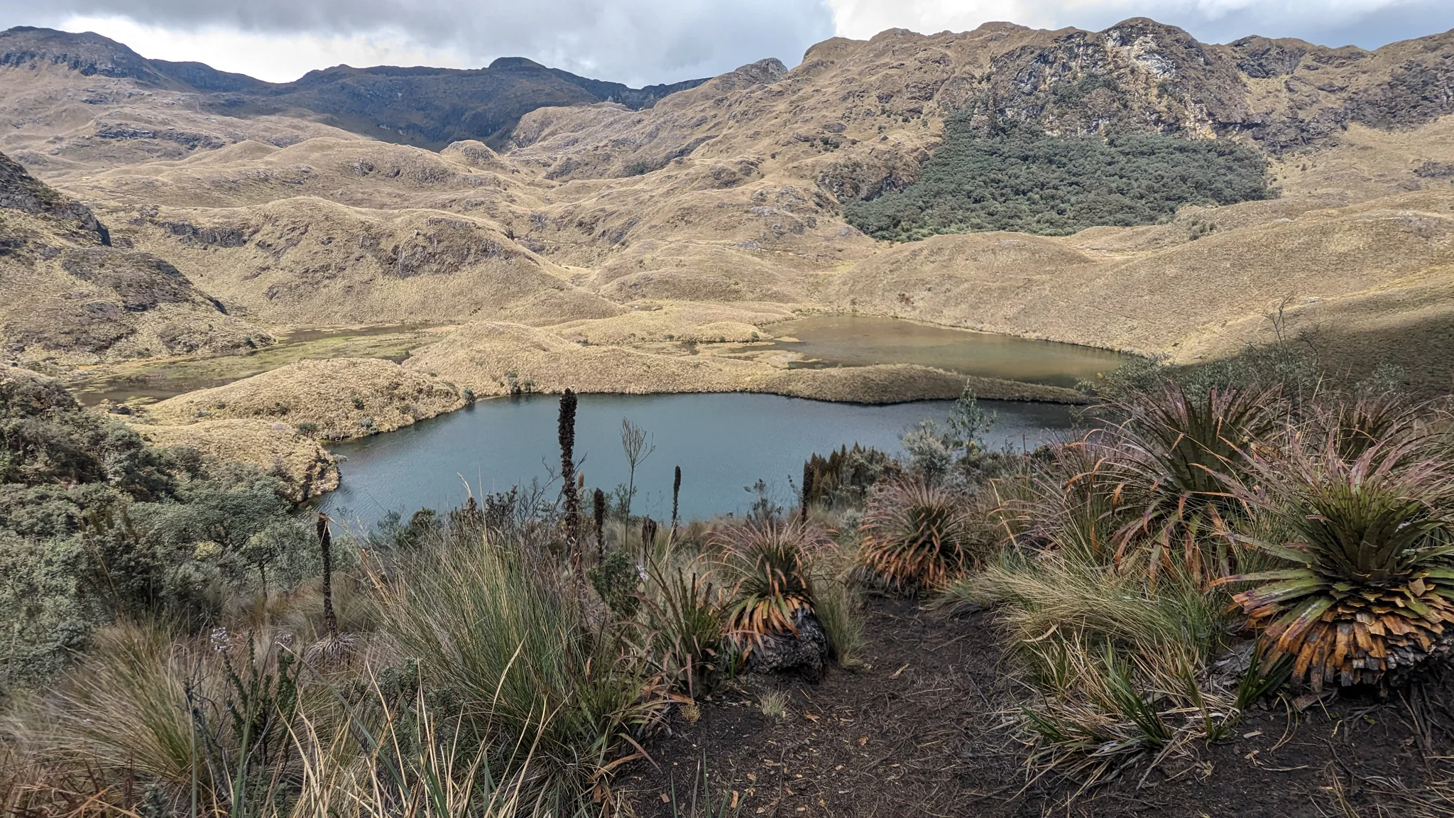 Lagoon and trail in páramo hills.